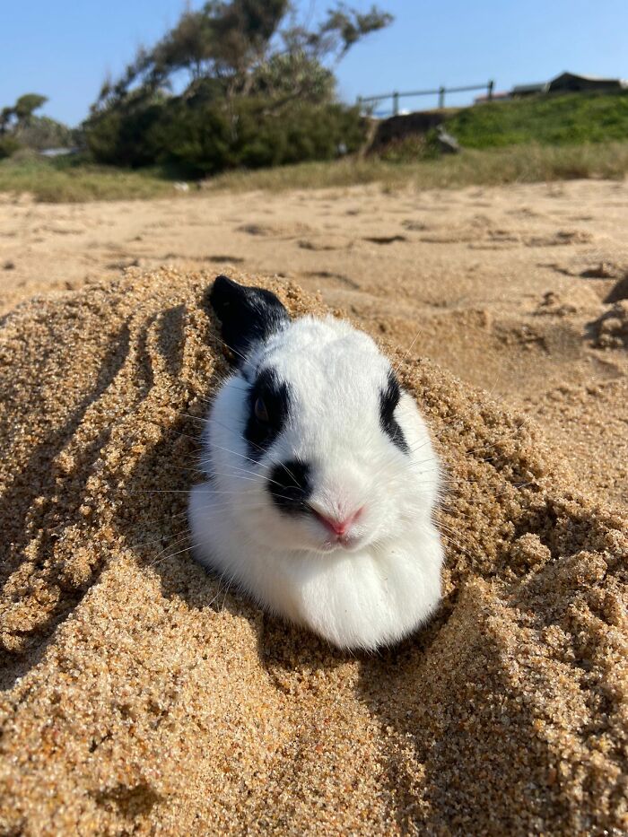 Marble - Loving Beach Life