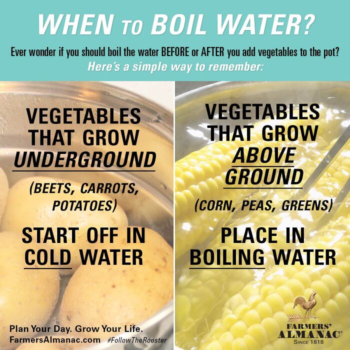 When To Boil Water To Cook Vegetables