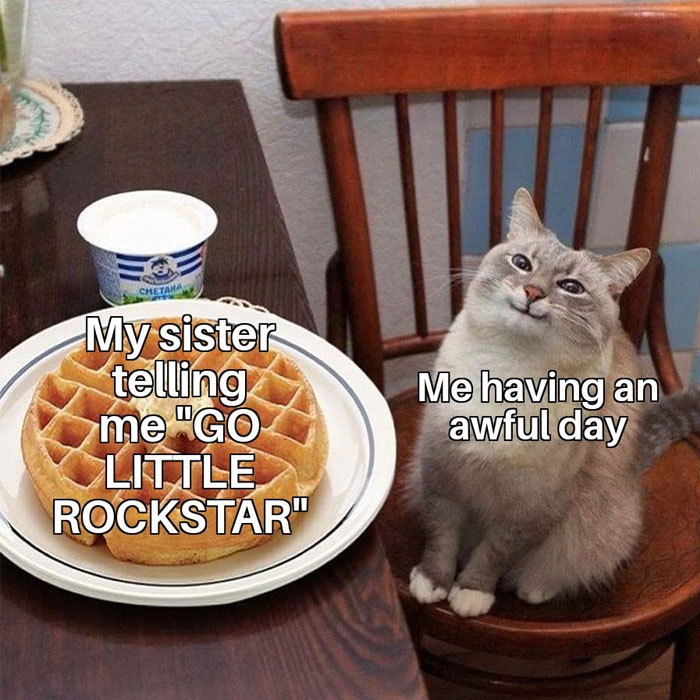 A "You can do it" meme featuring a cat sitting at a dining table with a plate of waffles and a yogurt cup in front of it. The cat has a somewhat disheartened expression. The text over the waffles reads, "My sister telling me 'GO LITTLE ROCKSTAR'," and the text over the cat reads, "Me having an awful day." The meme humorously contrasts the cat's mood with the encouraging phrase, highlighting the irony of receiving motivation when you're not feeling your best.