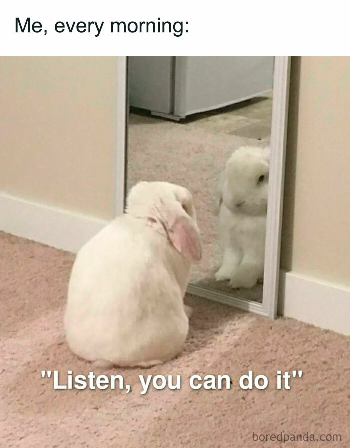 A "You can do it" meme featuring a white bunny sitting on beige carpet, staring at its reflection in a floor mirror. The bunny appears to be giving itself a pep talk. The text above the image reads, "Me, every morning:" and below the image, it says, "Listen, you can do it."