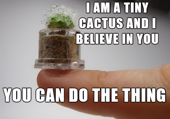 A "You can do it" meme featuring a close-up image of a tiny cactus sitting on the tip of someone's finger. The text at the top reads, "I AM A TINY CACTUS AND I BELIEVE IN YOU," and the text at the bottom says, "YOU CAN DO THE THING." The meme uses the small, resilient cactus to humorously encourage and motivate the viewer, suggesting that even something small and seemingly insignificant can offer powerful support and belief in your ability to succeed.