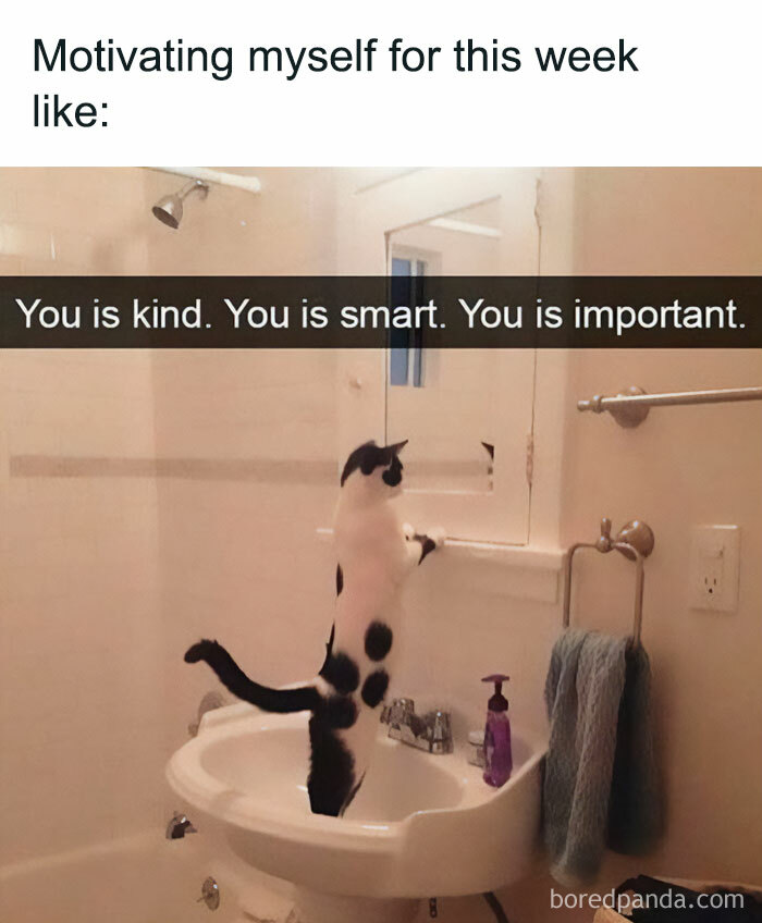 A "You can do it" meme featuring a photo of a black and white cat standing on a bathroom sink, looking into a mirror. The text at the top reads, "Motivating myself for this week like:" and the text over the mirror reflection says, "You is kind. You is smart. You is important." The meme humorously depicts the cat seemingly giving itself a pep talk in the mirror, encouraging self-affirmation and positivity to start the week off on a motivated note.