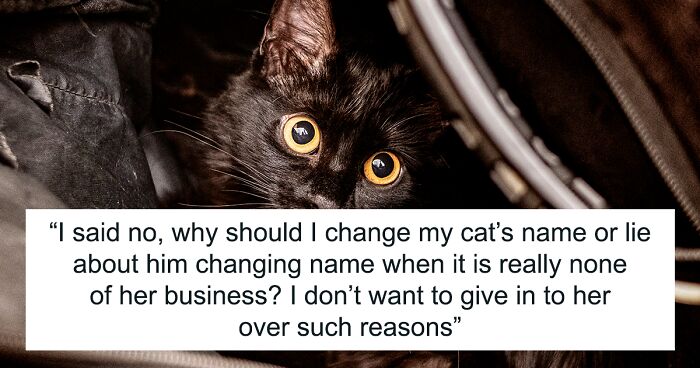 Entitled Neighbor Insists Black Cat’s Name Is Racist And Offensive, Demands Immediate Name Change