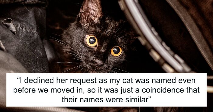 Entitled Neighbor Insists Black Cat’s Name Is Racist And Offensive, Demands Immediate Name Change