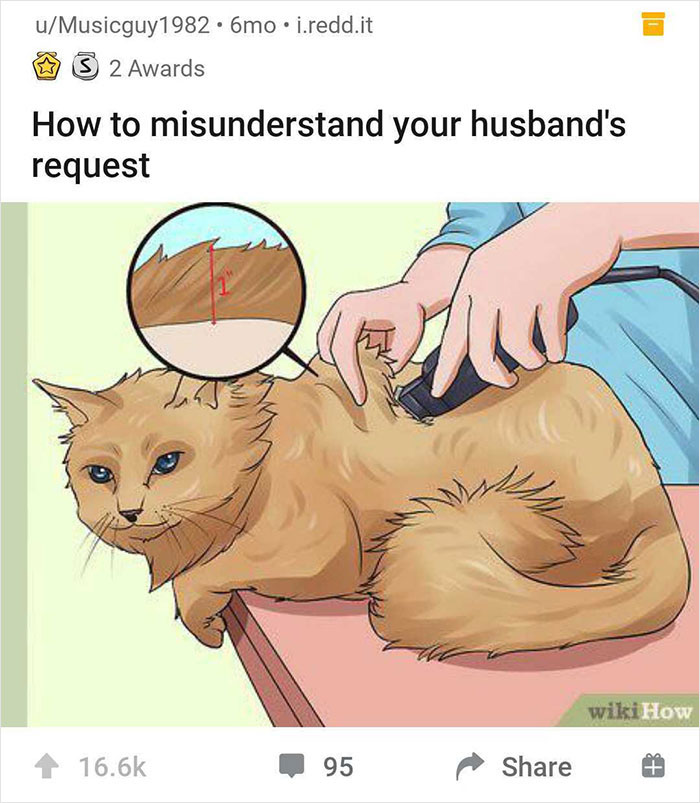 Alternate-Fake-Captions-Wikihow-Best-Pics