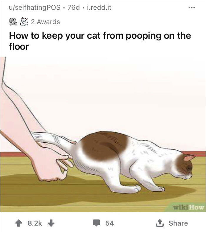 Alternate-Fake-Captions-Wikihow-Best-Pics