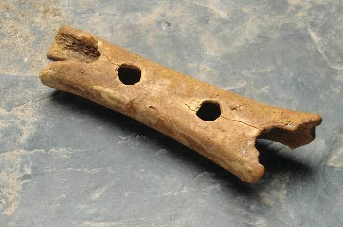 La flauta neandertal, descubierta en Eslovenia, es el instrumento musical más antiguo conocido, con una antigüedad aproximada de 50.000 años. Fabricada con el hueso de un oso cavernario