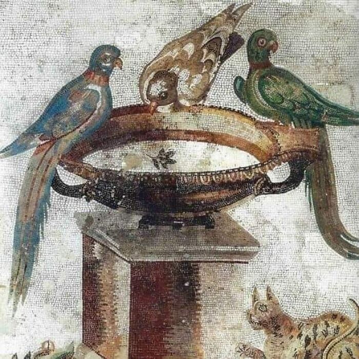 A 1st Century Ad, Roman Mosaic With Parrots And Dove Drinking From A Fountain And A Lurking Cat, Found In Santa Maria Capua Vetere, Italy