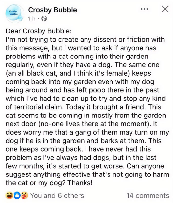 A Great One From My Favourite Local Fb Group Crosby Bubble