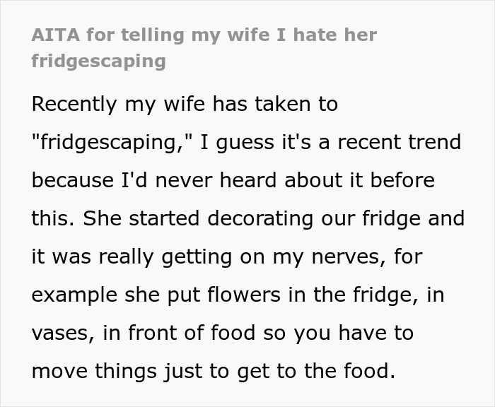 "AITA For Telling My Wife I Hate Her Fridgescaping?"