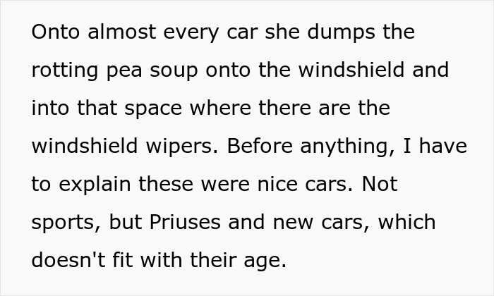 New Neighbors Disregard Requests, Woman Puts Rotten Soup In Their Cars