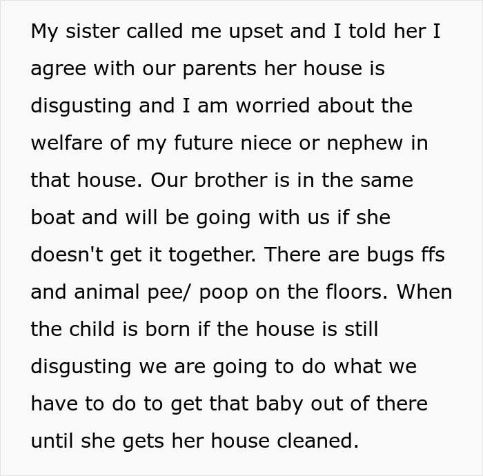 Family Threatens Pregnant Sister With Custody Of The Baby Because Of Her “Zoo-Like”, Filthy Home