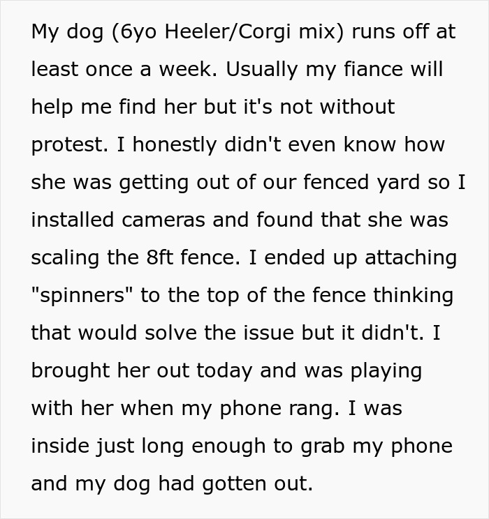 Guy Screams At Pregnant Fiancée For Refusing To Help Him Find Dog That Escapes Once A Week