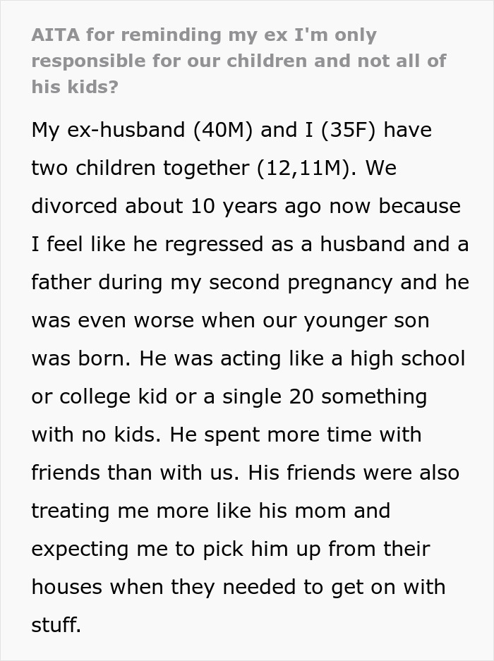 “AITA For Reminding My Ex I’m Only Responsible For Our Children And Not All Of His Kids?”