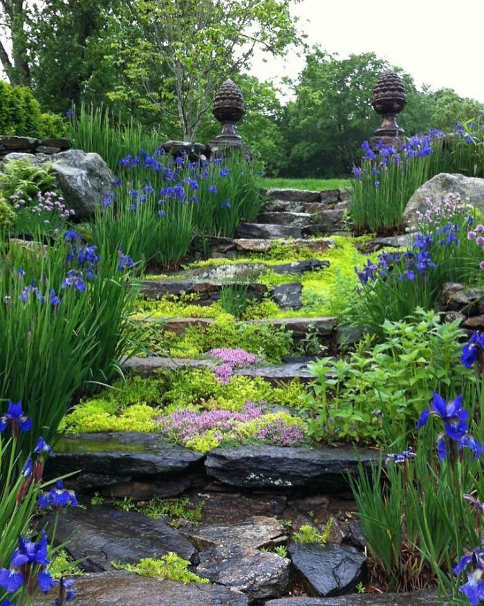 Beautiful-Gardens-Instagram