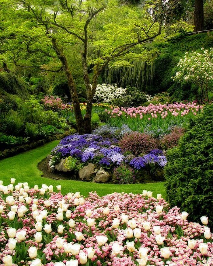 Beautiful-Gardens-Instagram