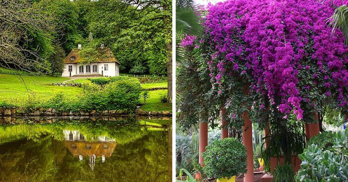 30 Heavenly Photos Of Gardens That Were Shared By This Instagram Account