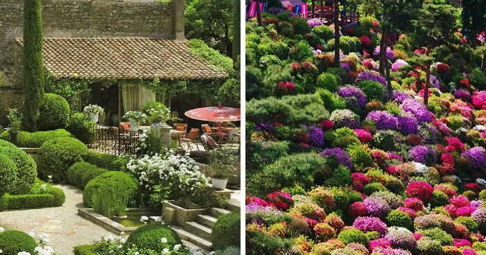 30 Heavenly Photos Of Gardens That Were Shared By This Instagram Account