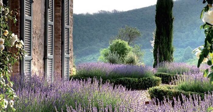 30 Heavenly Photos Of Gardens That Were Shared By This Instagram Account