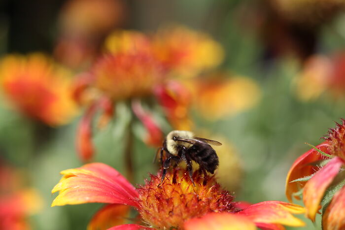 Beauty In The Smallest Places