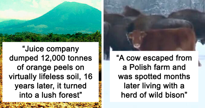 117 Of The Best “Today I Learned” Posts Of All Time