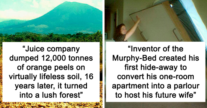 117 Of The Most Interesting Facts Ever Posted On “Today I Learned”