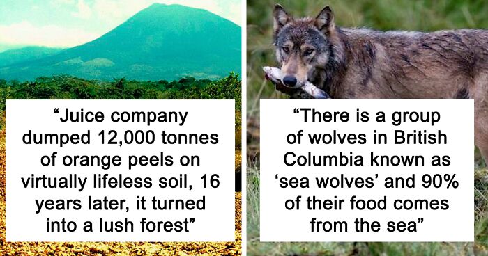 117 Of The Most Interesting And Surprising “Today I Learned” Facts Ever Shared On This Group