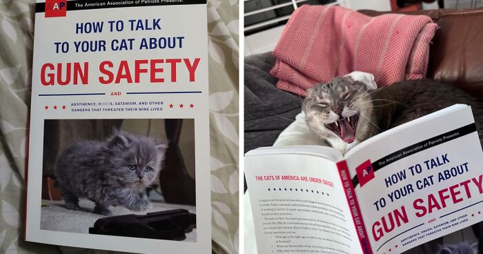 20 Titles That Are Almost Funnier Than The Books Themselves (We Said Almost)