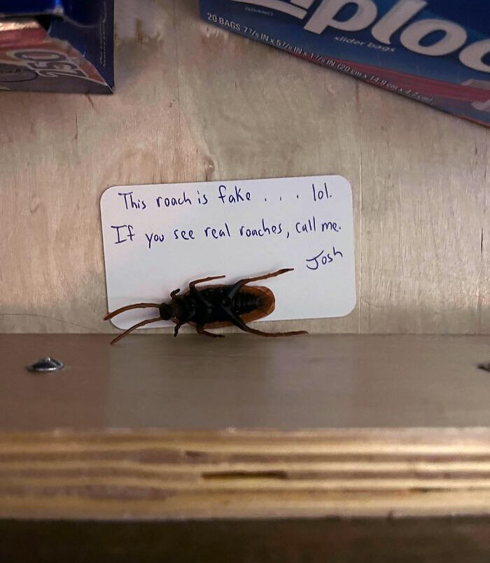 Bought A House And Found A Business Card For An Exterminator. Wife Freaked When She Opened The Drawer