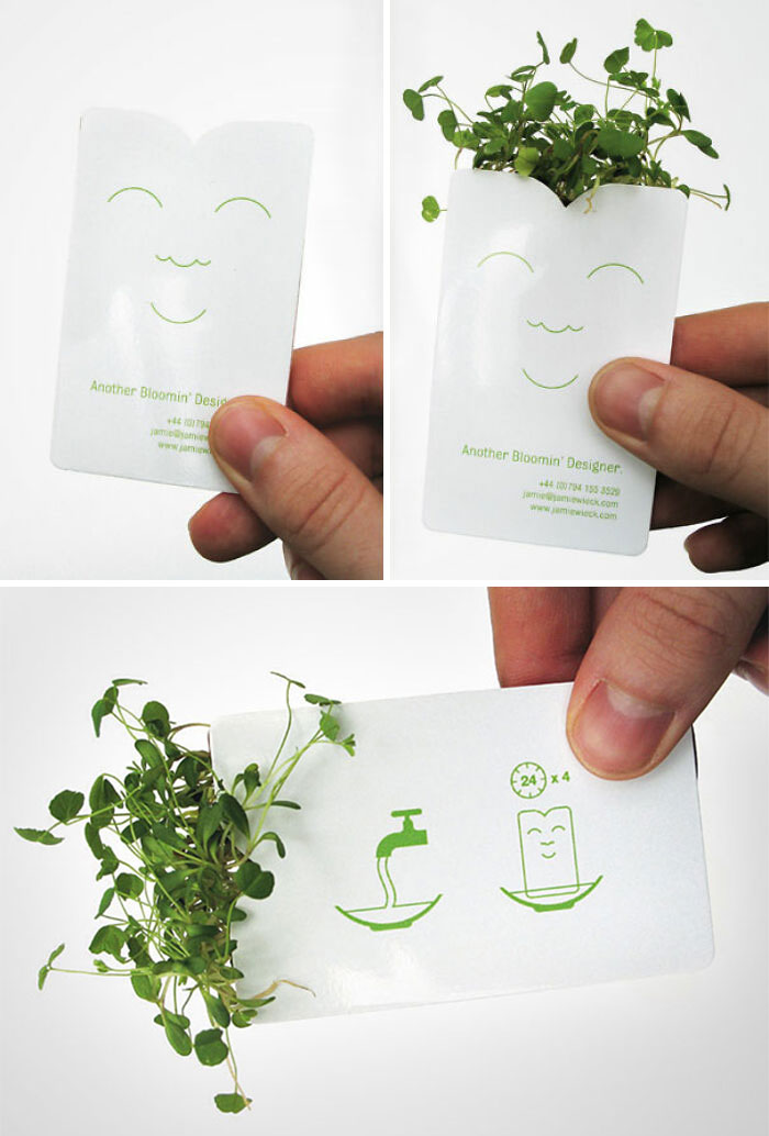 Designer’s Seed Packet Business Card