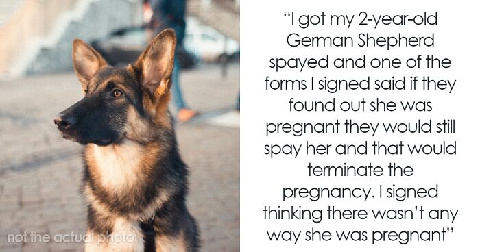 Man Tries To Breed GF’s Dog Behind Her Back, Doesn't Understand Why She’s Furious