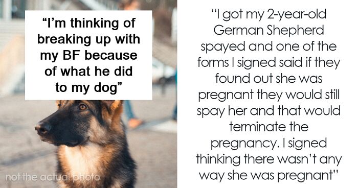 Woman Can’t Forgive Boyfriend For Getting Her Dog Pregnant To Sell Puppies