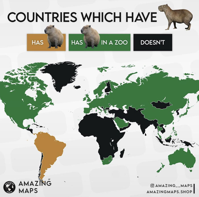 Which Countries Have Capybaras