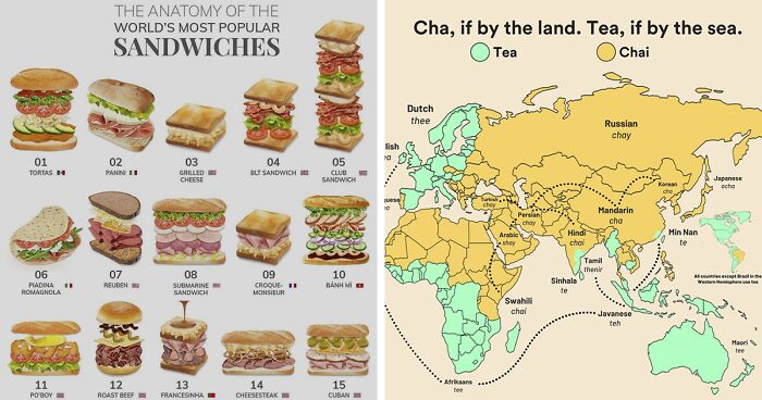 50 Curious Charts That May Teach You Something New About The World