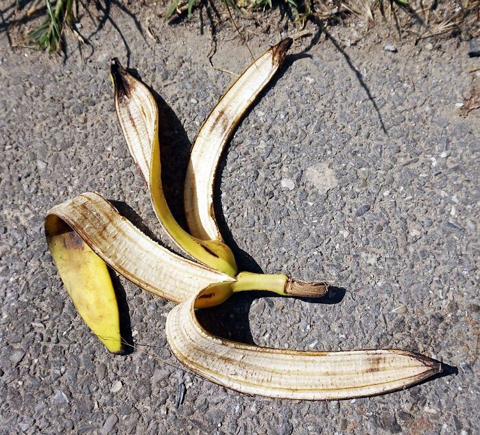 “I Slipped On A Banana Skin”: 30 Moments People Never Thought They’d Experience