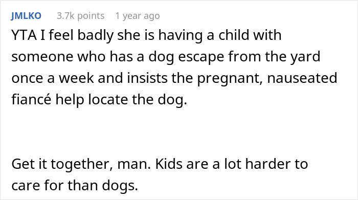 Guy Screams At Pregnant Fianc e For Refusing To Help Him Find Dog That Escapes Once A Week - 45