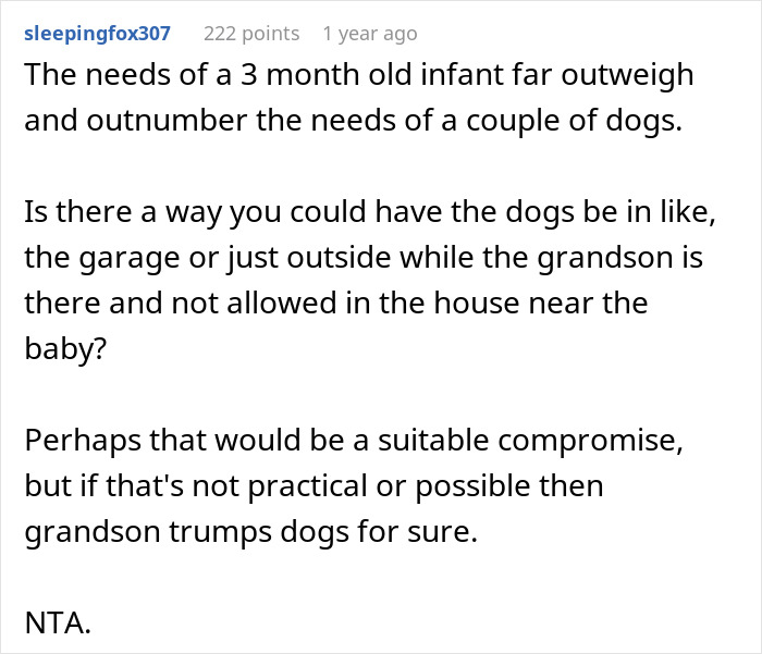 Woman Stops Talking To Mom Who Chose To Babysit Her Grandson Instead Of Watching Her Dogs