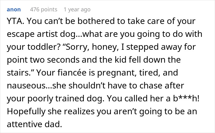 Guy Screams At Pregnant Fianc e For Refusing To Help Him Find Dog That Escapes Once A Week - 20