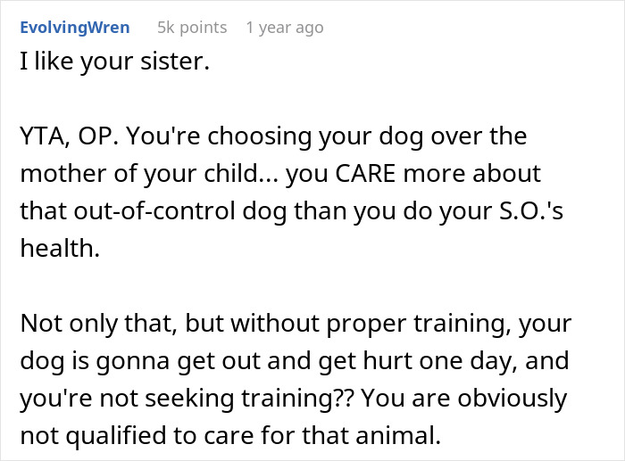 Guy Screams At Pregnant Fianc e For Refusing To Help Him Find Dog That Escapes Once A Week - 19