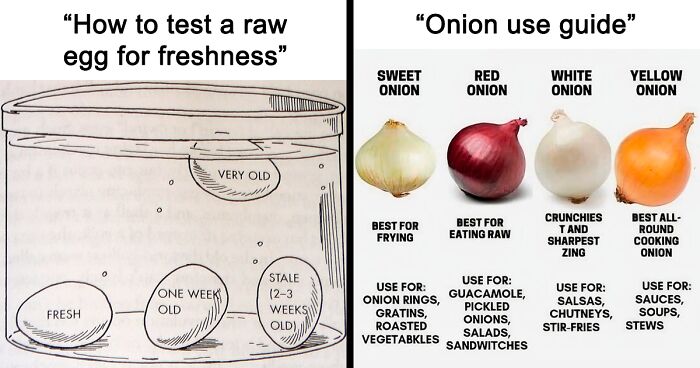 50 Fun And Interesting Food Charts That Ended Up On This Popular Online Group (New Pics)