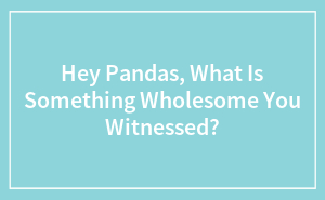 Hey Pandas, What Is Something Wholesome You Witnessed?