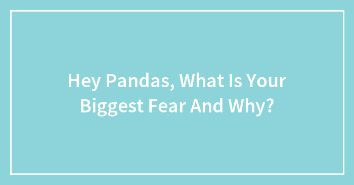 Hey Pandas, What Is Your Biggest Fear And Why? (Closed)