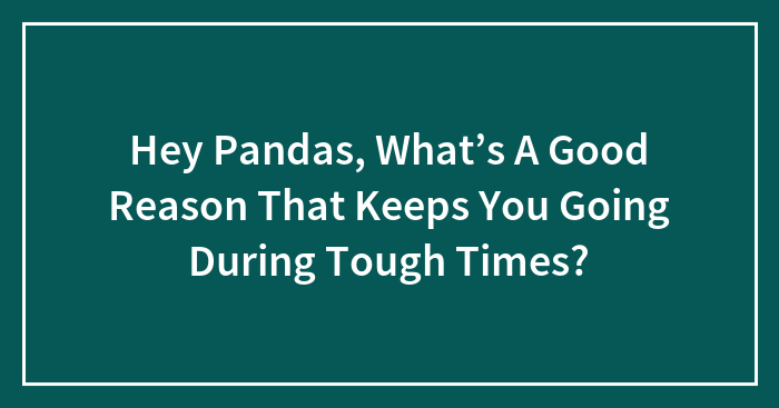 Hey Pandas, What’s A Good Reason That Keeps You Going During Tough Times? (Closed)