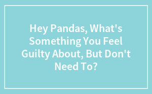 Hey Pandas, What's Something You Feel Guilty About, But Don't Need To?