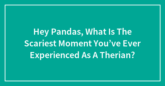 Hey Pandas, What Is The Scariest Moment You’ve Ever Experienced As A Therian? (Closed)