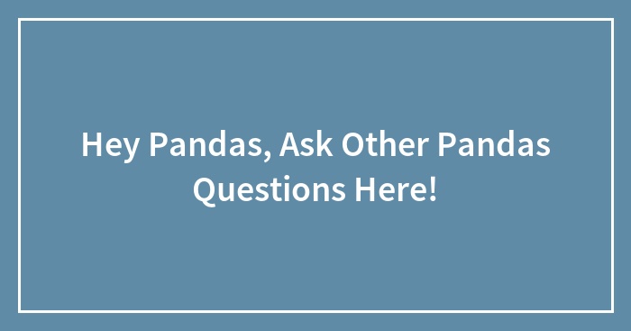 Hey Pandas, Ask Other Pandas Questions Here!