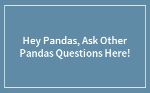 Hey Pandas, Ask Other Pandas Questions Here!