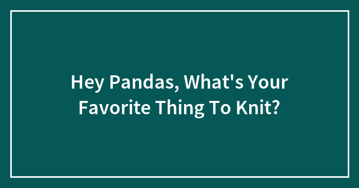 Hey Pandas, What’s Your Favorite Thing To Knit? (Closed)