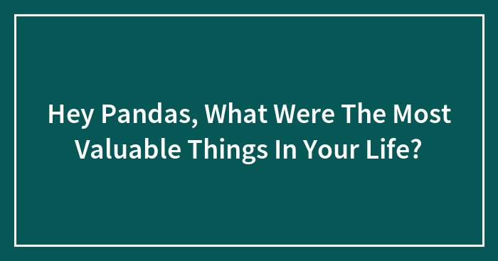 Hey Pandas, What Were The Most Valuable Things In Your Life? (Closed)