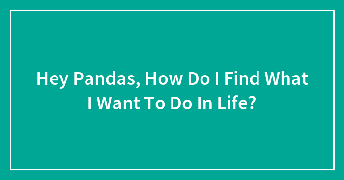 Hey Pandas, How Do I Find What I Want To Do In Life? (Closed)